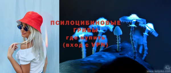 ПСИЛОЦИБИНОВЫЕ ГРИБЫ Алзамай