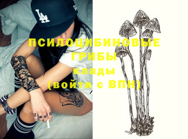 ПСИЛОЦИБИНОВЫЕ ГРИБЫ Алзамай