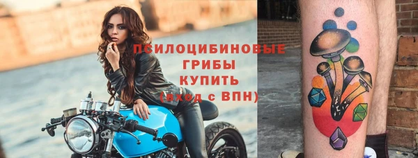 ПСИЛОЦИБИНОВЫЕ ГРИБЫ Алзамай